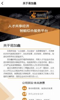 易加鑫 国内贸易代理的崛起与价值探索