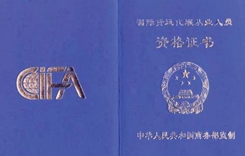 经贸天下的助航人——报关与国际货运专业与国内贸易代理
